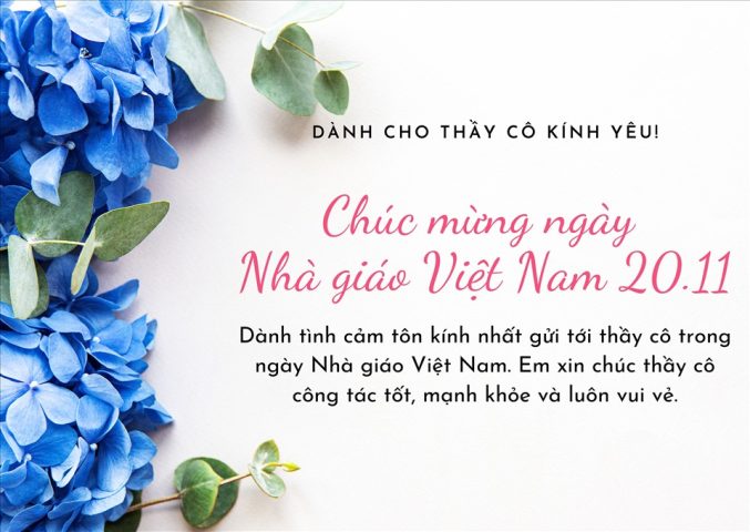 Những Lời Chúc Hay và Ý Nghĩa Ngày 20 11 Tri Ân Thầy Cô Kính Yêu