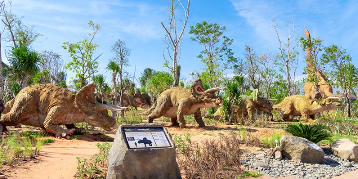 Khám phá khu vui chơi dành cho trẻ em Dino Park toàn diện