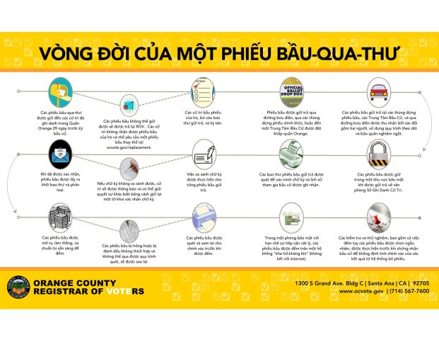 Bầu Ăn Khoai Tây Có Tốt Không: Hướng Dẫn Toàn Diện Từ Chuyên Gia