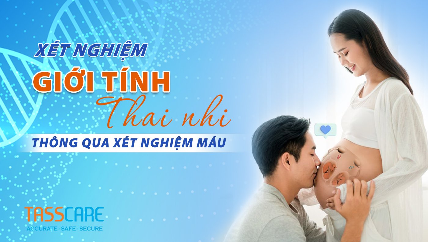 2 Vạch Đậm Là Trai Hay Gái? Giải Đáp Khoa Học Chi Tiết