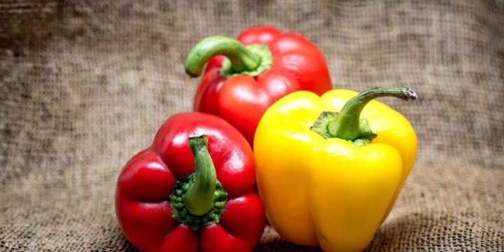 Acid Folic có trong thực phẩm nào: Ớt chuông là nguồn acid folic không thể bỏ qua