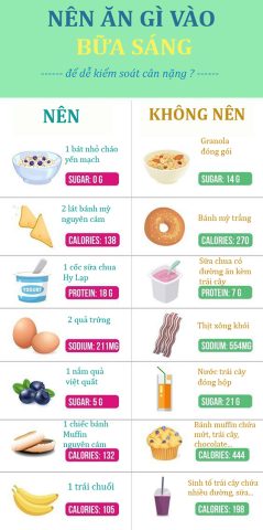 Bột Ngũ Cốc Yến Mạch Giảm Cân: Hướng Dẫn Toàn Diện Từ Chuyên Gia