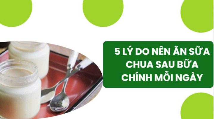 Ăn Sữa Chua Sau Khi Ăn: Thời Điểm Vàng và Lợi Ích Vượt Trội Ăn Sữa Chua Sau Khi Ăn: Thời Điểm Vàng và Lợi Ích Vượt Trội