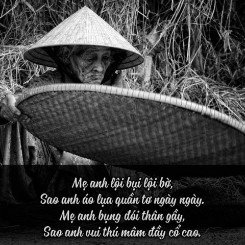 Những Câu Tục Ngữ Hay Về Mẹ: Tình Mẫu Tử Vô Bờ Bến