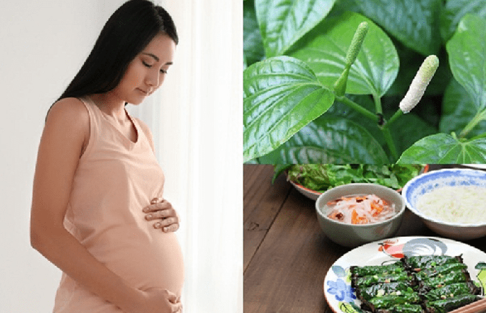 Có Bầu Ăn Lá Lốt Được Không? Lợi Ích & Lưu Ý Quan Trọng