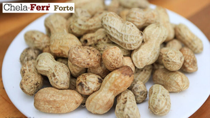 Bà bầu ăn lạc luộc an toàn và lợi ích cho trí não thai nhi nhờ folate và chất béo tốt.