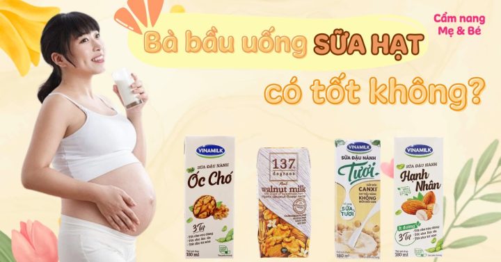 Sữa Hạt Tốt Cho Bà Bầu: Hướng Dẫn Toàn Diện Từ Chuyên Gia