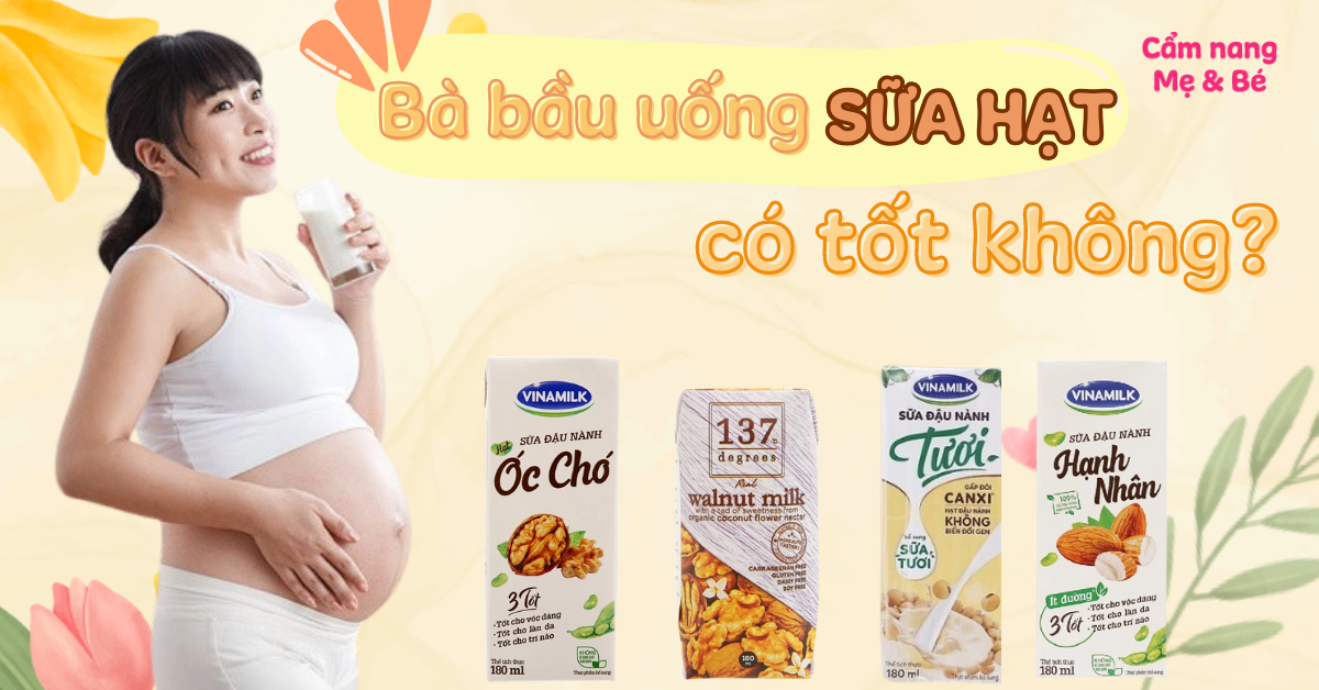 Các Loại Sữa Hạt Tốt Cho Bà Bầu: Hướng Dẫn Toàn Diện