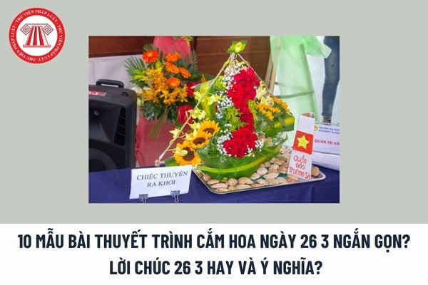 Bài Thuyết Trình Cắm Hoa 26 3: Ý Tưởng & Hướng Dẫn Toàn Diện