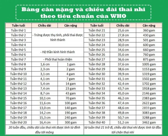 Cân Nặng Của Bé Theo Tháng Tuổi: Chuẩn WHO & Phát Triển Toàn Diện