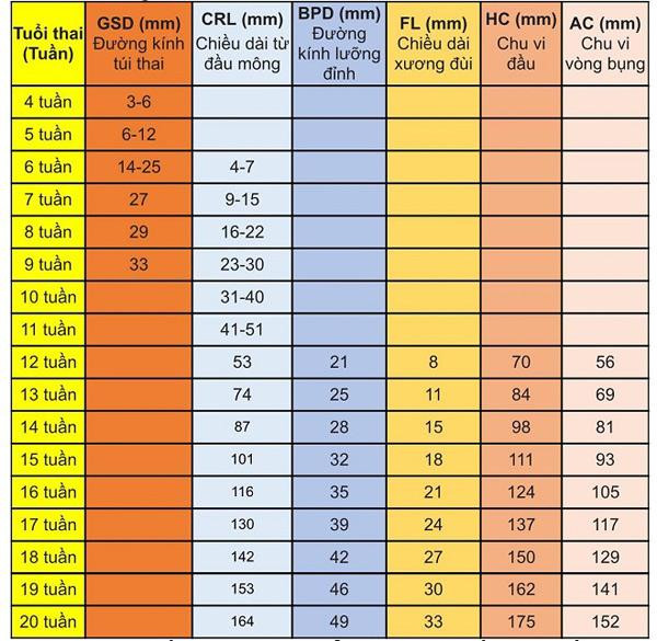 Chỉ số phát triển của thai nhi theo từng tuần chuẩn nhất