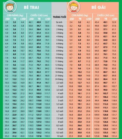 Chiều cao cân nặng chuẩn của trẻ: Cẩm nang toàn diện theo WHO