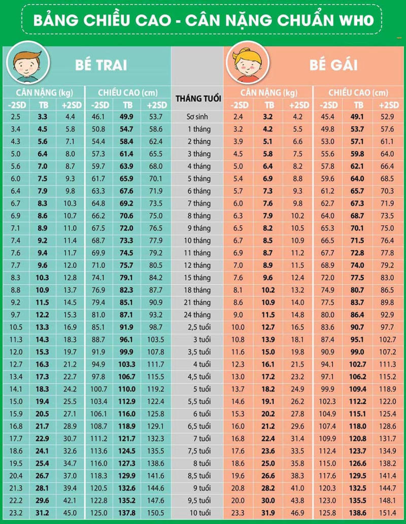 Bảng Chiều Cao Cân Nặng Chuẩn Của Trẻ Em Theo WHO & Lời Khuyên Chuyên Gia