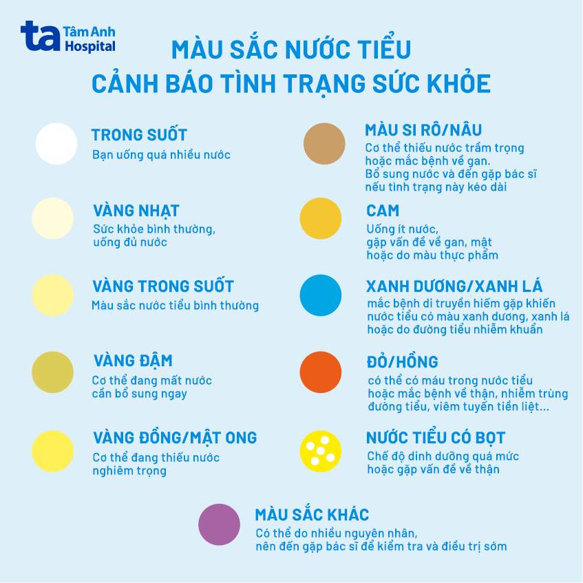 Nhìn Màu Nước Tiểu Đoán Bệnh: Giải Mã Ý Nghĩa Sức Khỏe Qua Từng Sắc Thái