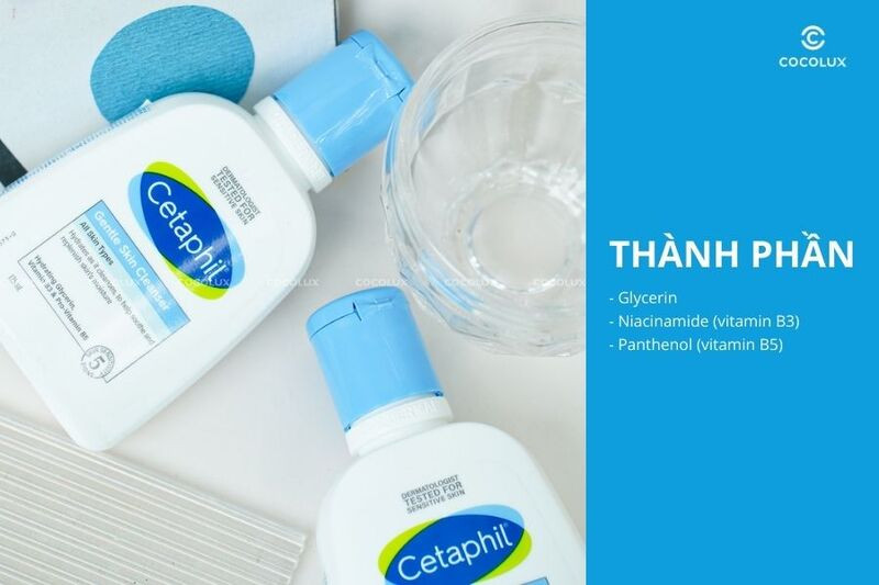 Bảng thành phần chính Glycerin, Niacinamide, Panthenol trong Cetaphil Gentle Skin Cleanser