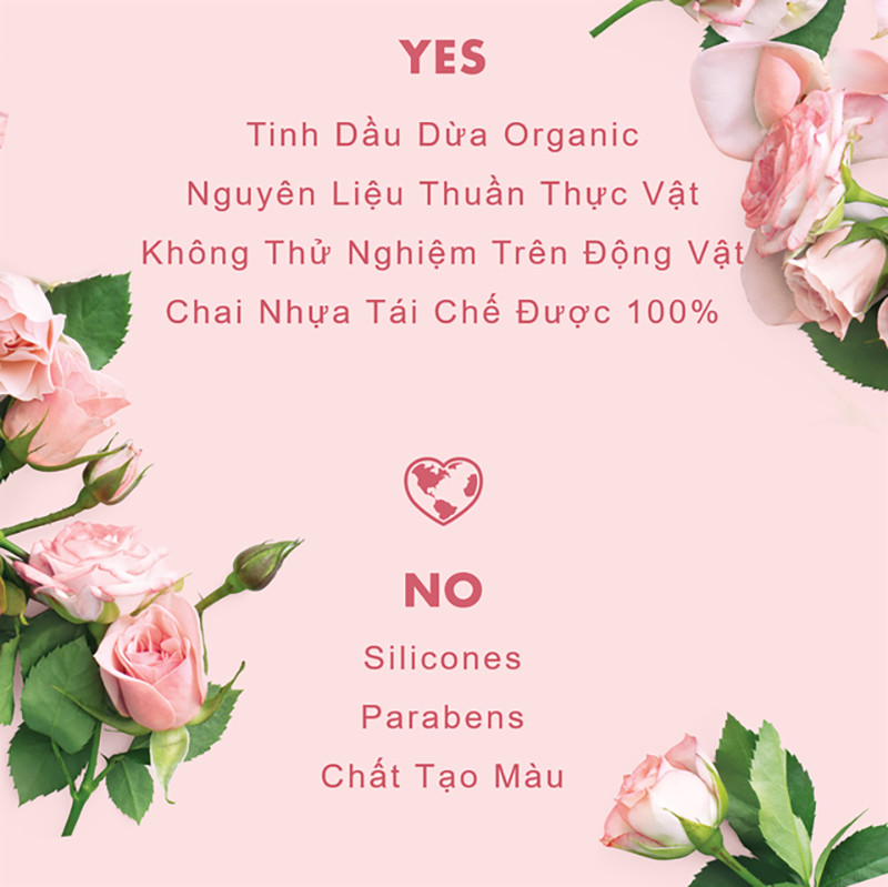 Bảng thành phần không paraben, không silicone