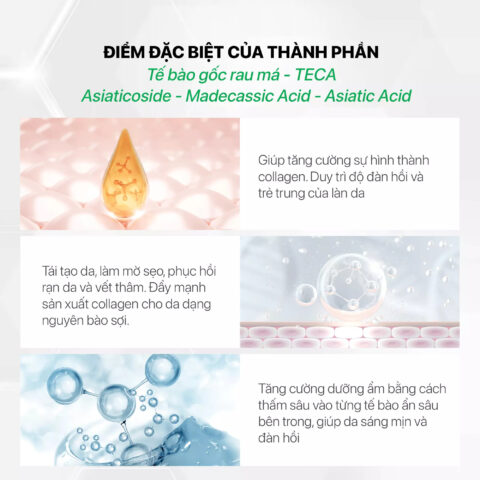 Bảng thành phần lành tính, dịu nhẹ của kem dưỡng thể cho bà bầu GUO Centella Healthy White Body Cream