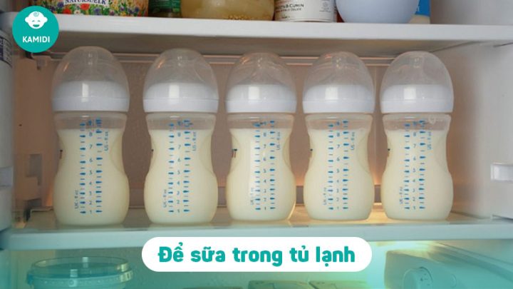 Cách Bảo Quản Sữa Tươi Đã Mở Nắp Đảm Bảo Tươi Ngon An Toàn