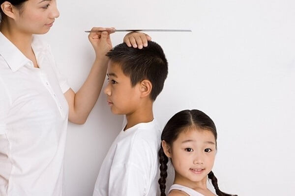 Sữa Phát Triển Trí Não và Chiều Cao: Hướng Dẫn Toàn Diện