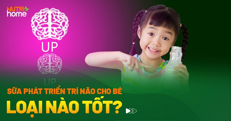 Sữa Tốt Cho Phát Triển Trí Não Toàn Diện Của Bé