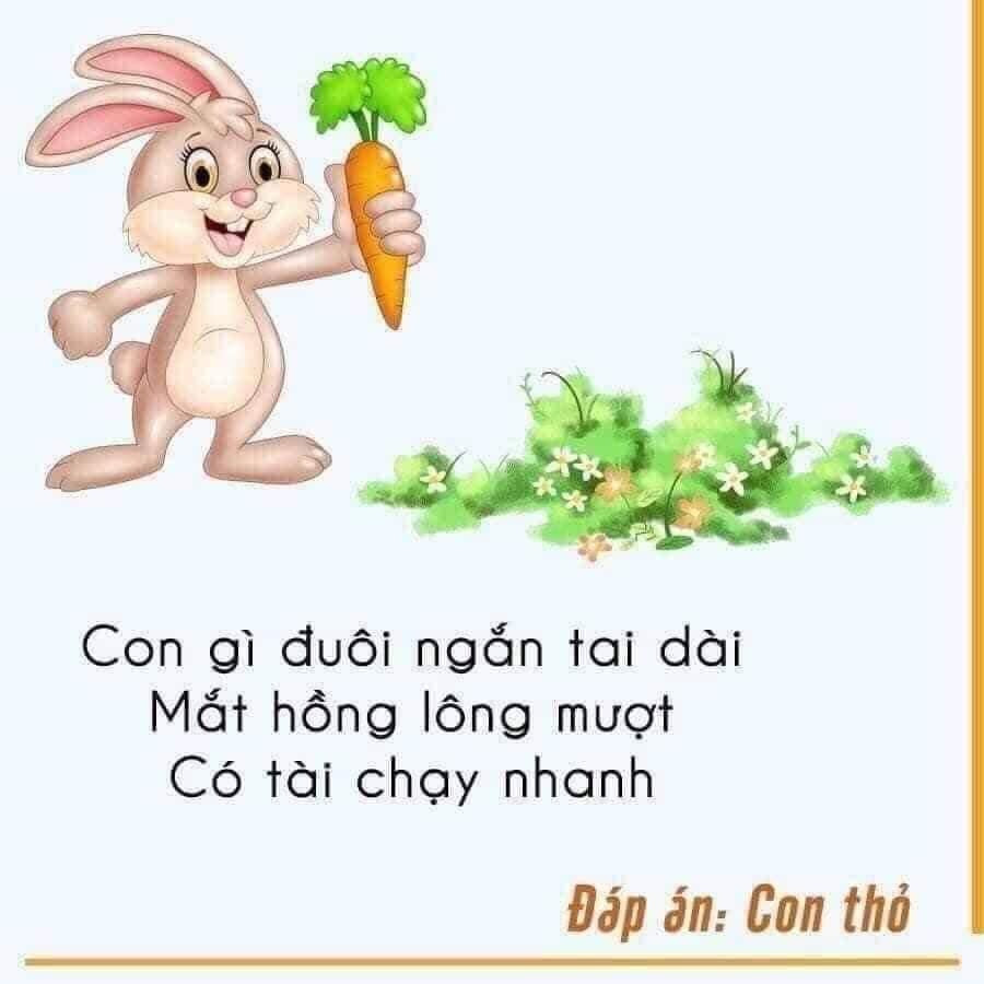 Câu Đố Con Vật Cho Bé: Khám Phá Thế Giới Động Vật Vui Nhộn