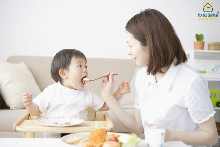 Bé Ăn Tổ Yến Có Tốt Không: Giải Đáp Chuyên Sâu Cho Cha Mẹ