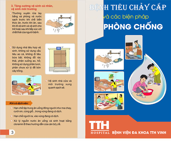 Làm thế nào để hết chấy tận gốc: Hướng dẫn điều trị và phòng ngừa