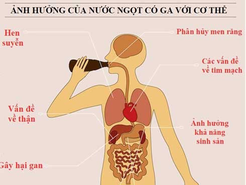 Uống Nước Ngọt Có Gas Đúng Cách: Hướng Dẫn Toàn Diện Bảo Vệ Sức Khỏe Gia Đình