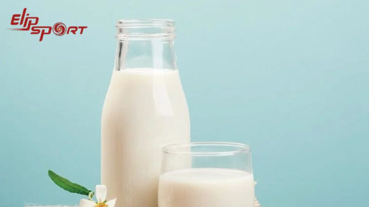 100ml Sữa Tươi Không Đường Và Lượng Calo Chi Tiết