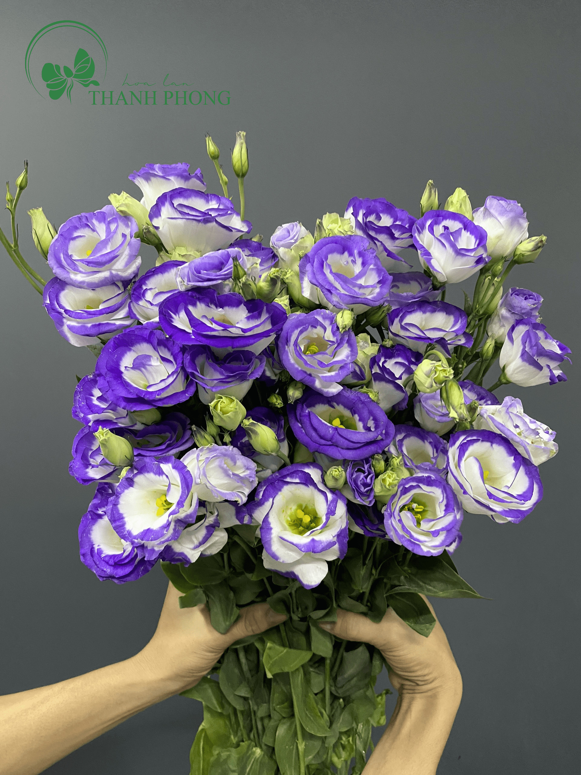 Bó hoa Cát Tường thanh lịch dùng trong lễ cúng đầy tháng cho bé