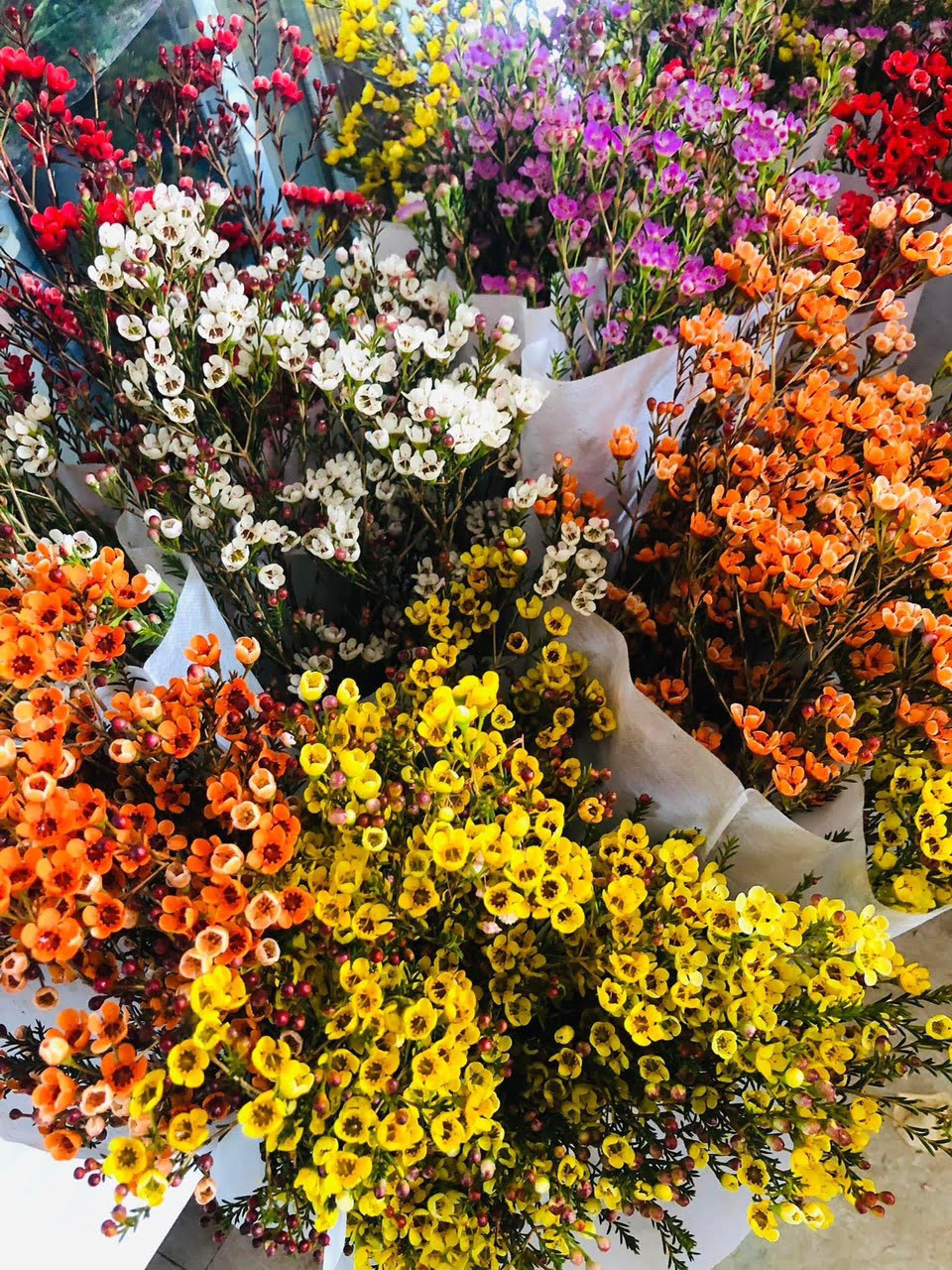 Bó hoa thanh liễu tươi thắm biểu tượng cho tình yêu bền vững
