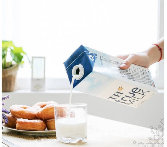Bò sữa TH True Milk trong trang trại hiện đại, được chăm sóc theo tiêu chuẩn phúc lợi động vật.