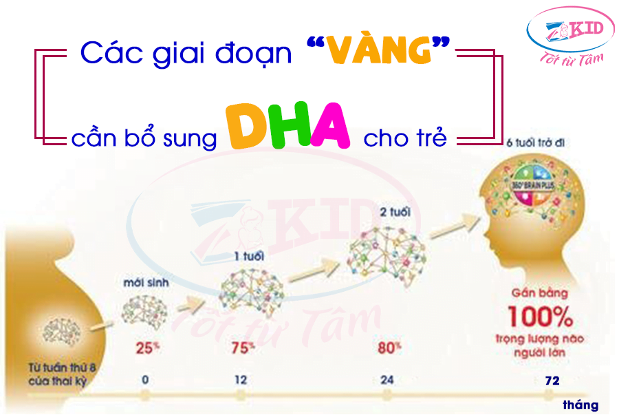 Nên Bổ Sung DHA Khi Nào Cho Bé? Hướng Dẫn Chi Tiết A-Z