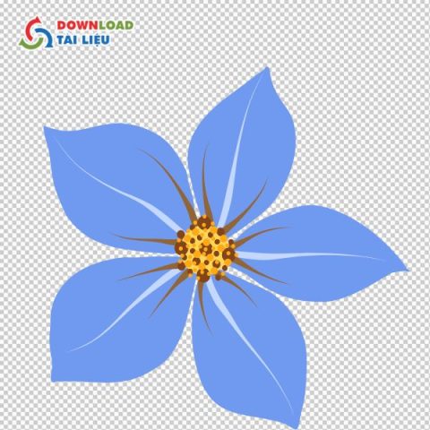 Hình ảnh bông hoa 5 cánh: Biểu tượng, Ứng dụng và Tài nguyên thiết kế chuyên nghiệp - image 3