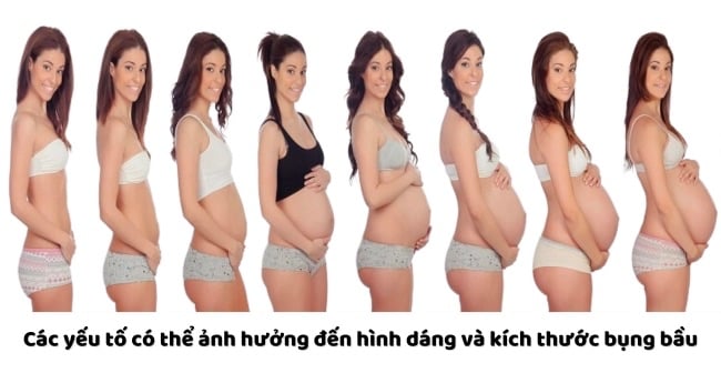 Hình ảnh bụng bầu 2 tháng: Mẹ bầu thay đổi thế nào và sự phát triển của thai nhi