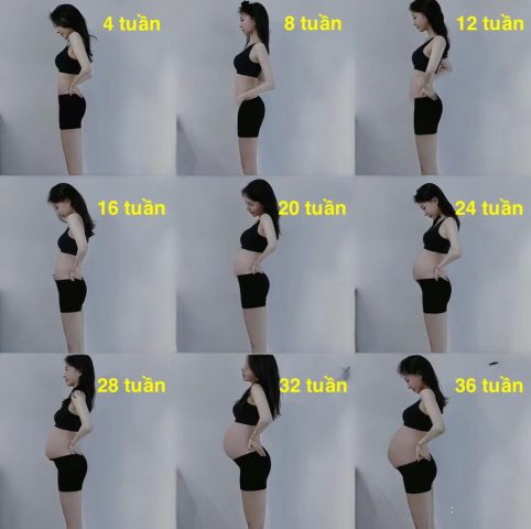 Bụng Bầu 4 Tháng To Như Thế Nào: Dấu Hiệu và Chăm Sóc Toàn Diện