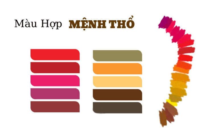 Các bảng màu sắc ấm nóng như đỏ, hồng, vàng, nâu, biểu tượng cho màu sắc hợp mệnh Thổ của tuổi Kỷ Dậu