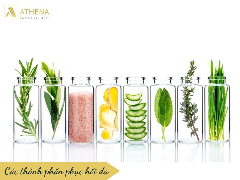 Các thành phần phục hồi da
