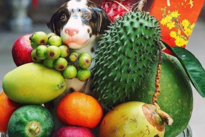 Cách bày mâm ngũ quả ngày Tết miền Nam