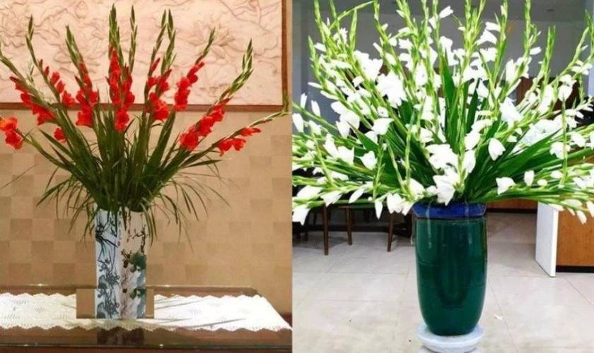 Cách cắm hoa bàn thờ đẹp với hoa cúc và hoa lay ơn trắng hồng, hài hòa và trang nhã