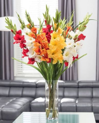 cách cắm hoa lay ơn đỏ bình thủy tinh