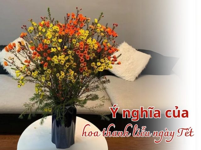 Cách Cắm Hoa Thanh Liễu Vàng Đẹp Chuẩn, Bền Lâu Tại Nhà