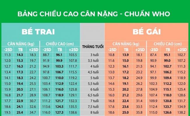 Chiều Cao Cân Nặng Bé Trai 4 Tuổi Chuẩn WHO: Cẩm Nang Toàn Diện