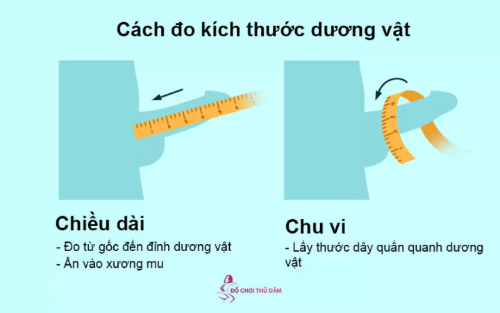 Hình ảnh minh họa cách đo size bao cao su và kích thước dương vật chính xác
