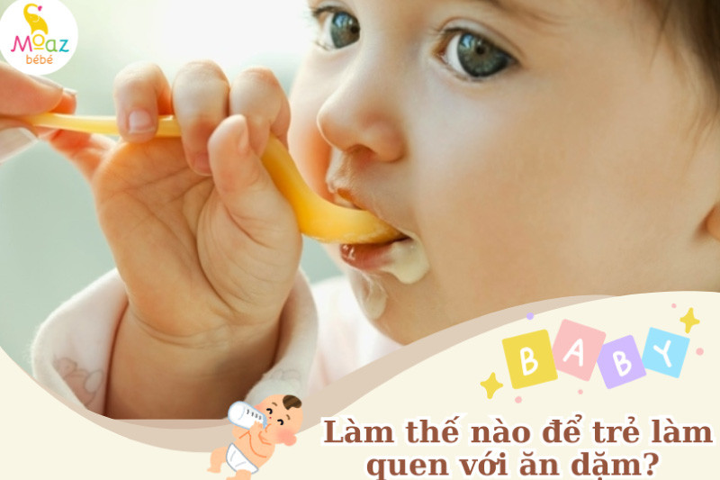 Cách giúp trẻ làm quen với ăn dặm hiệu quả