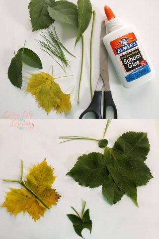 mẫu bướm làm từ lá cây: bướm