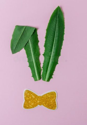 trang trí con vật bằng lá cây: thỏ