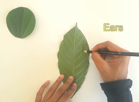 cách làm con vật bằng lá cây: tạo hình tai thỏ