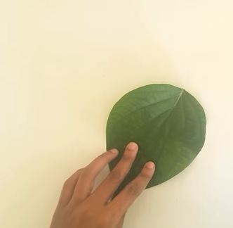 cách làm con vật bằng lá cây: cắt lá tròn làm đầu thỏ