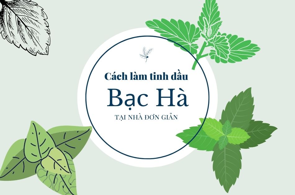 Cách Làm Tinh Dầu Tại Nhà Đơn Giản và Hiệu Quả Nhất Cách Làm Tinh Dầu Tại Nhà Đơn Giản và Hiệu Quả Nhất